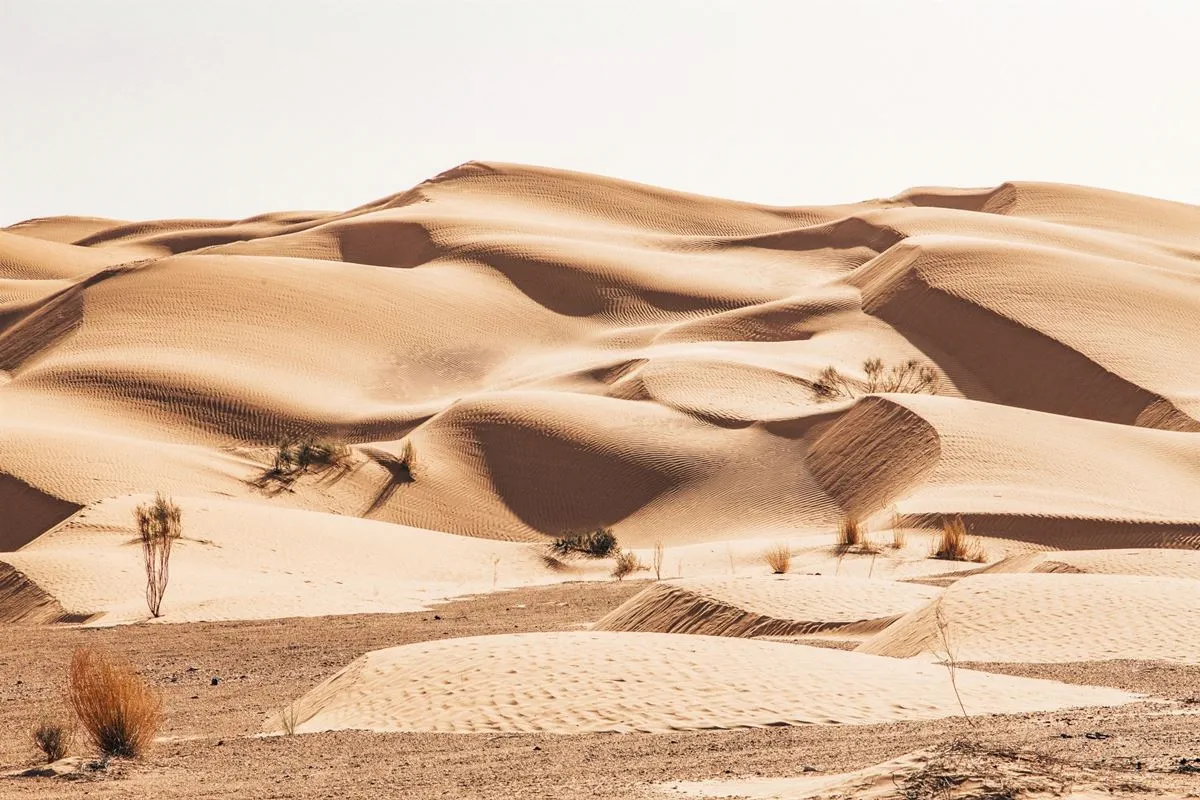 El Sáhara Ruta Túnez