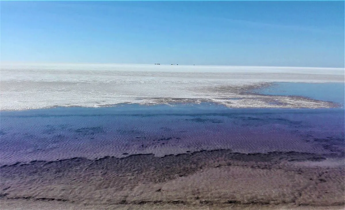 Horizonte Chott El Jerid Ruta Túnez