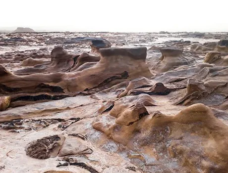 Suelo Lunar Ruta Túnez 